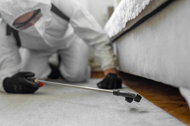Professional Cockroach Control technician working in Byesville, OH