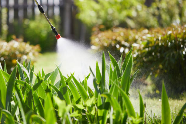 24/7 Emergency Cockroach Control experts in Byesville, OH