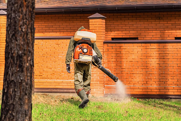Top rated local Cockroach Control specialists in Byesville, OH